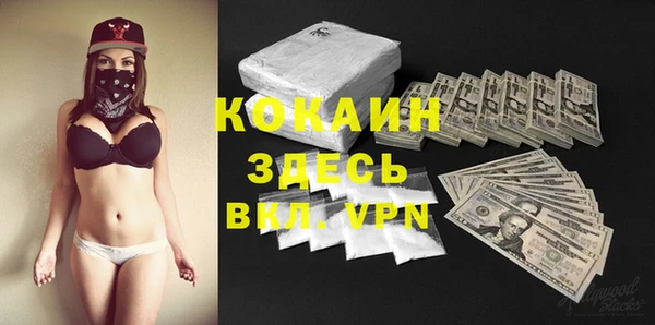 прущие грибы Кодинск