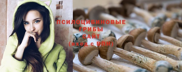 прущие грибы Кодинск