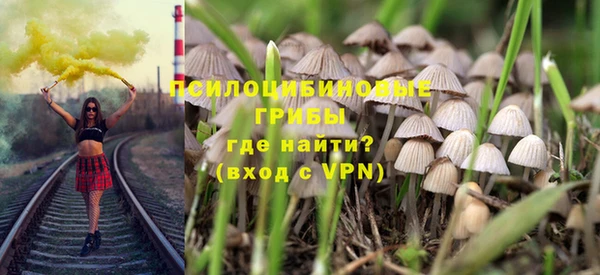 прущие грибы Кодинск