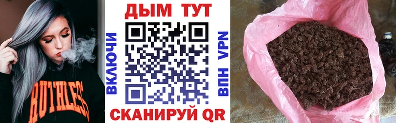 Конопля сатива Купить Назарово